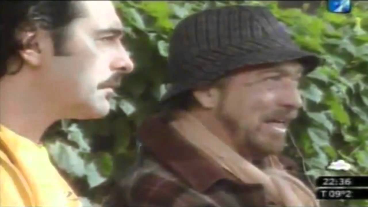 el hombre y el arbol cuento