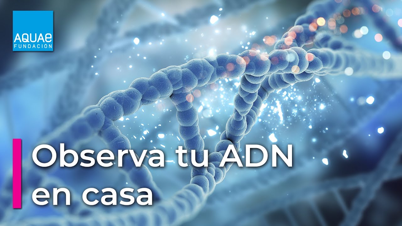 experimentos de biologia para secundaria caseros