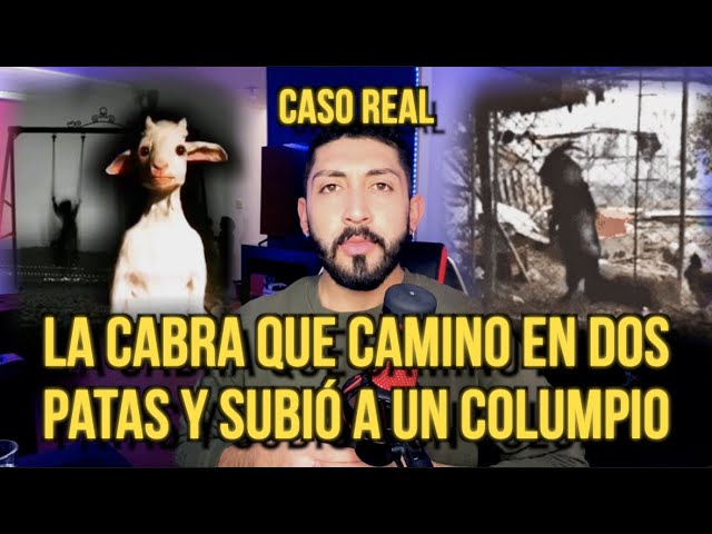 la cabra en dos patas resumen