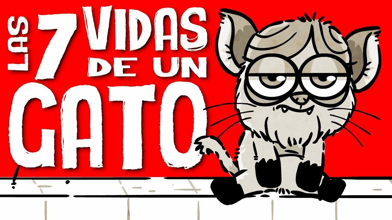 las 7 vidas de un gato