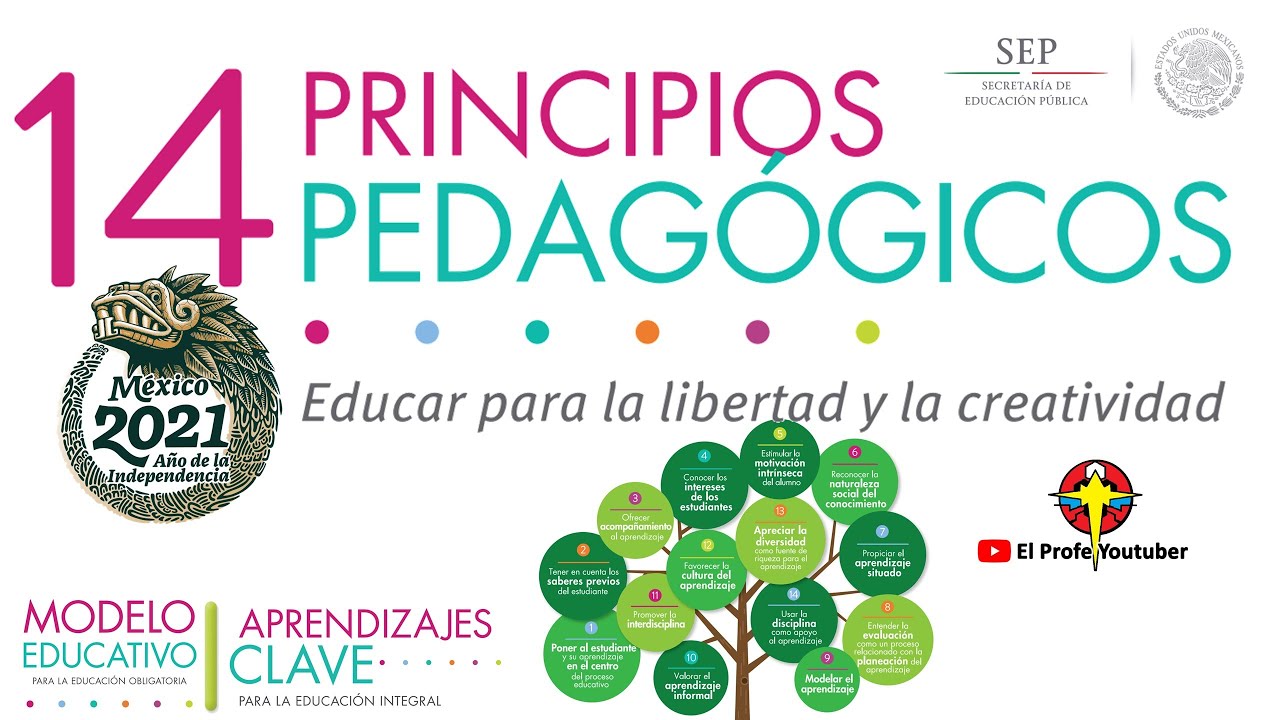 los 14 principios pedagógicos del nuevo planteamiento curricular