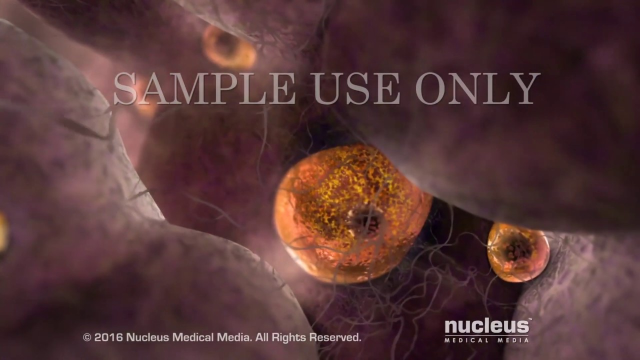 que son los ovulos en la mujer