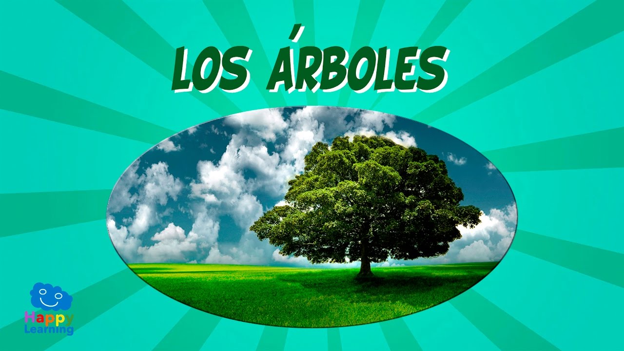 que tipo de arboles hay en el bosque