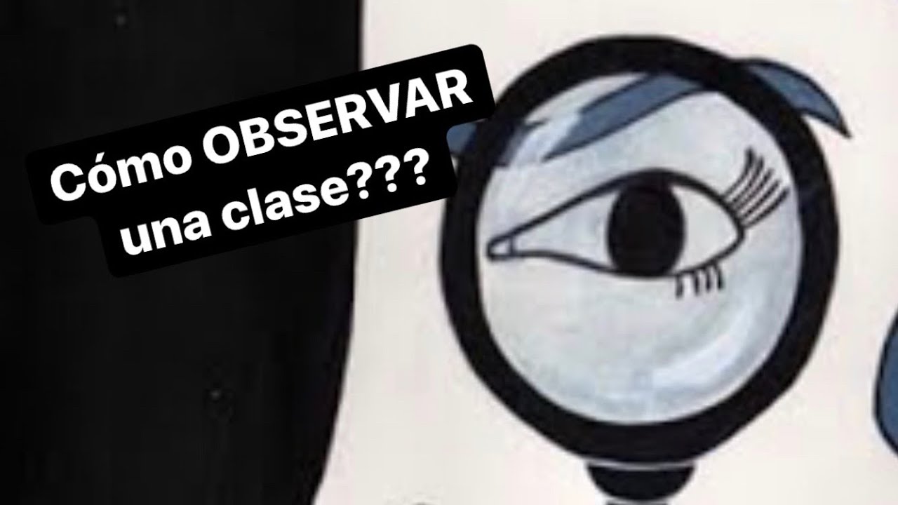 registro de observacion de una clase