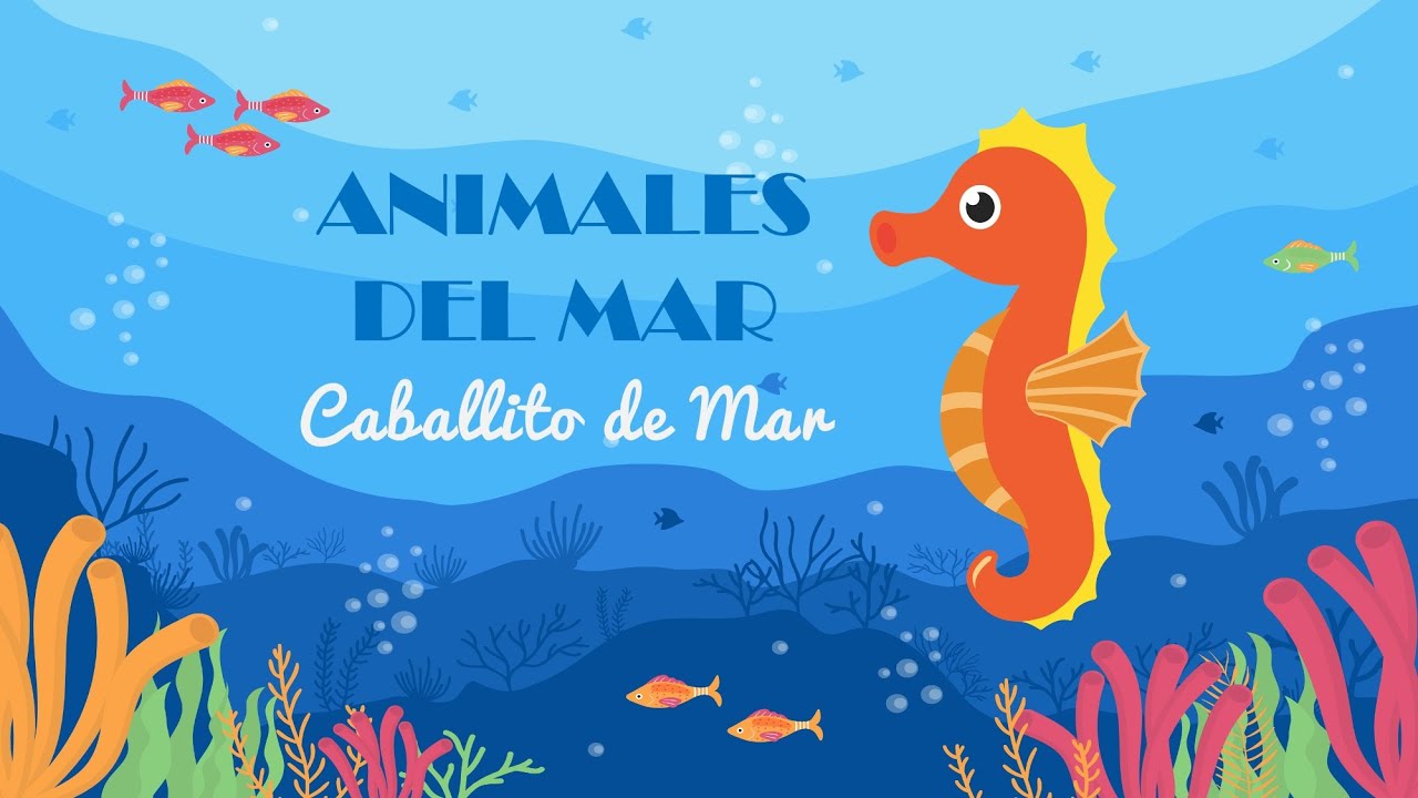 resumen del caballito de mar para niños