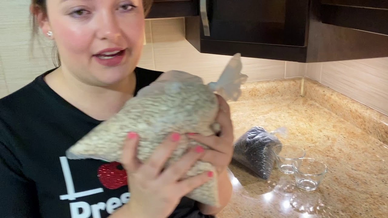 rubrica cuenta colecciones no mayores a 20 elementos