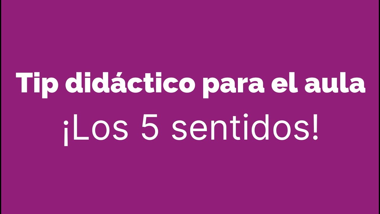 situacion didactica de los 5 sentidos