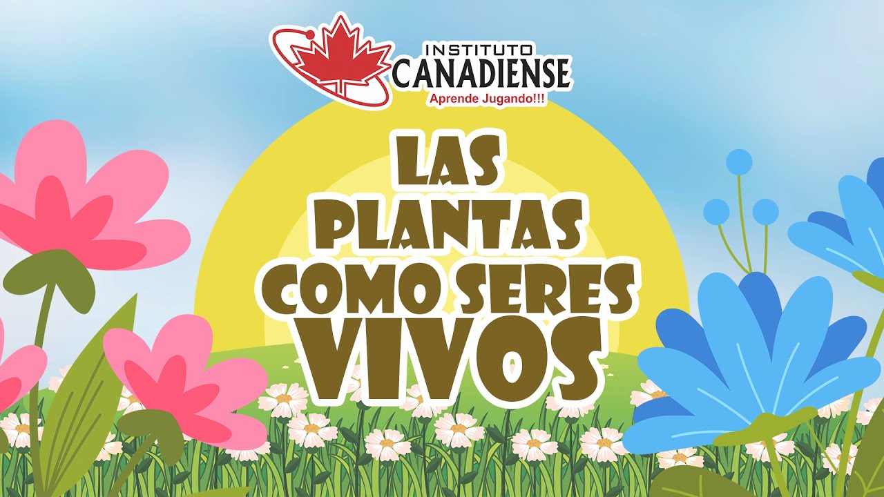 una planta es un ser vivo