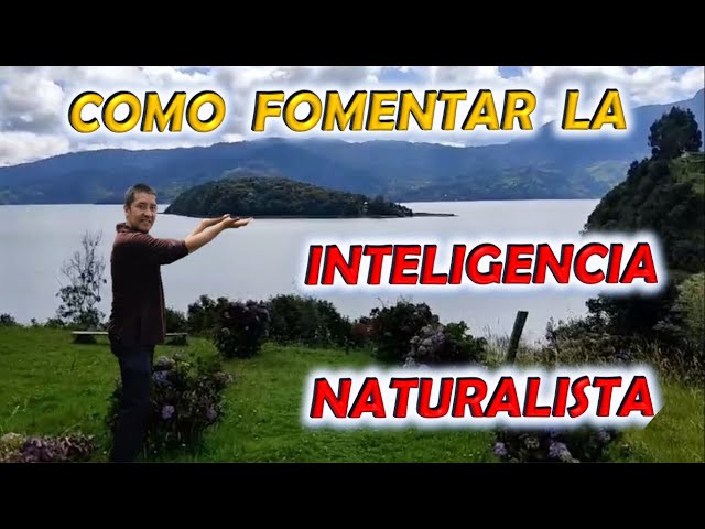 actividades didacticas de la inteligencia naturalista
