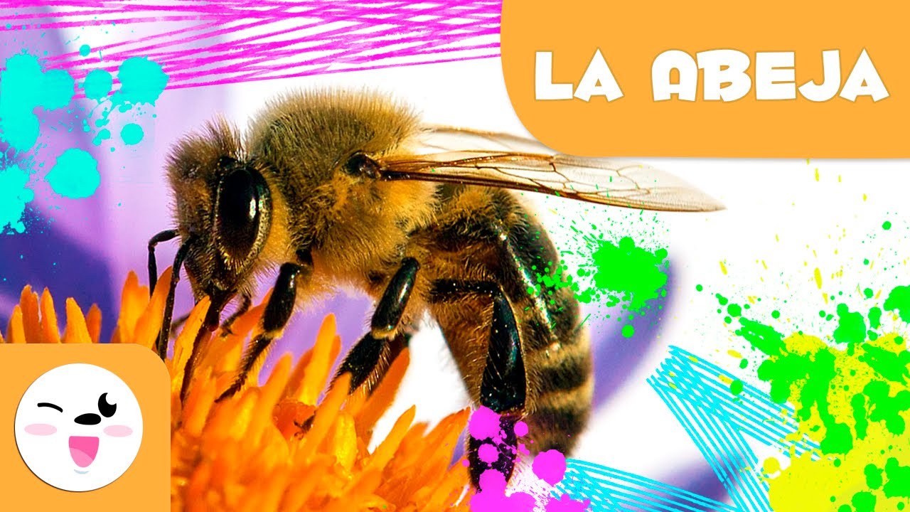 animales que trabajan en equipo abejas