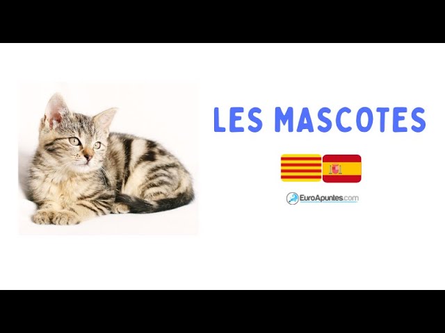 cómo se dice perro en catalán