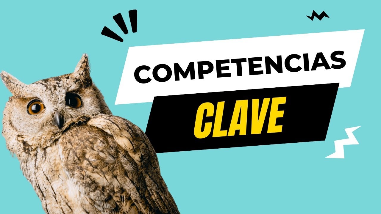cuáles son las 8 competencias clave de la lomloe