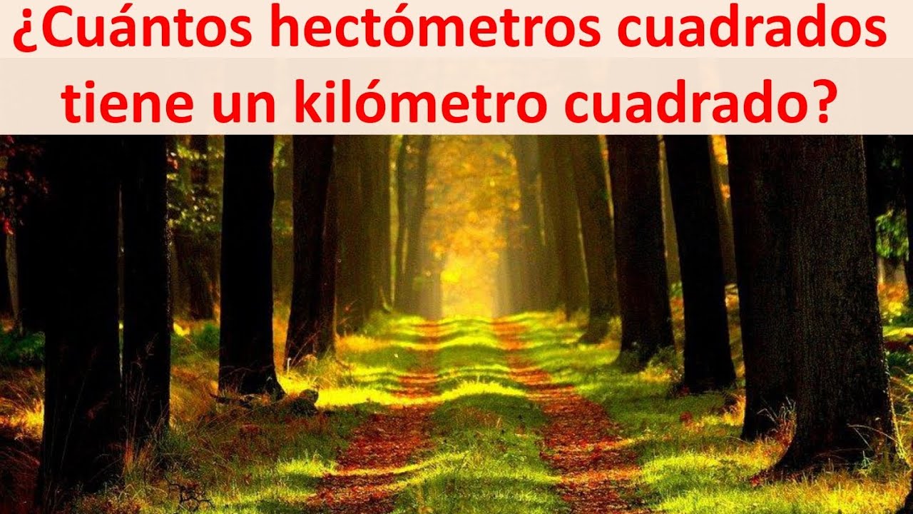 cuantos hectometros cuadrados tiene un kilometro cuadrado