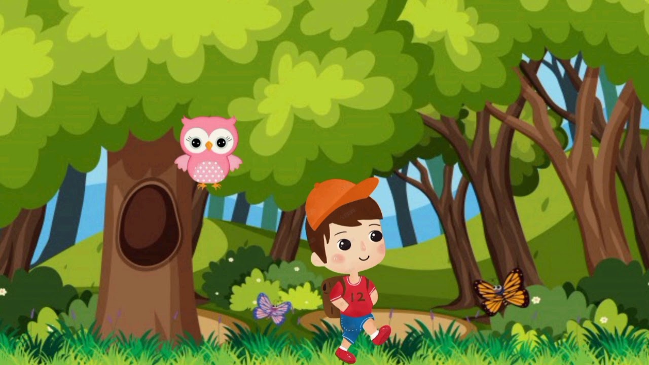 cuentos cortos de los derechos humanos