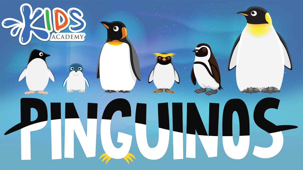 el pingüino es vivíparo o ovíparo
