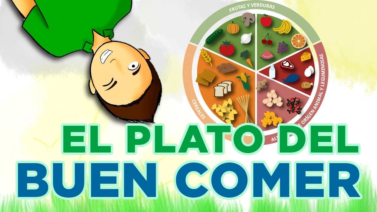 examen del plato del buen comer