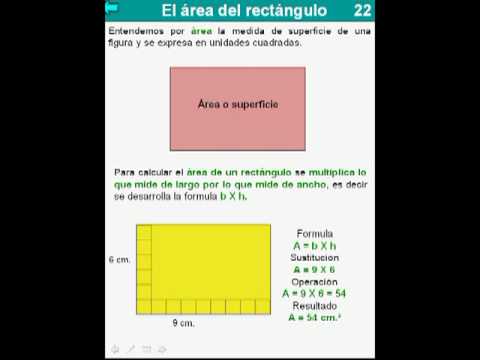guia lab 4 primaria con respuestas matematicas