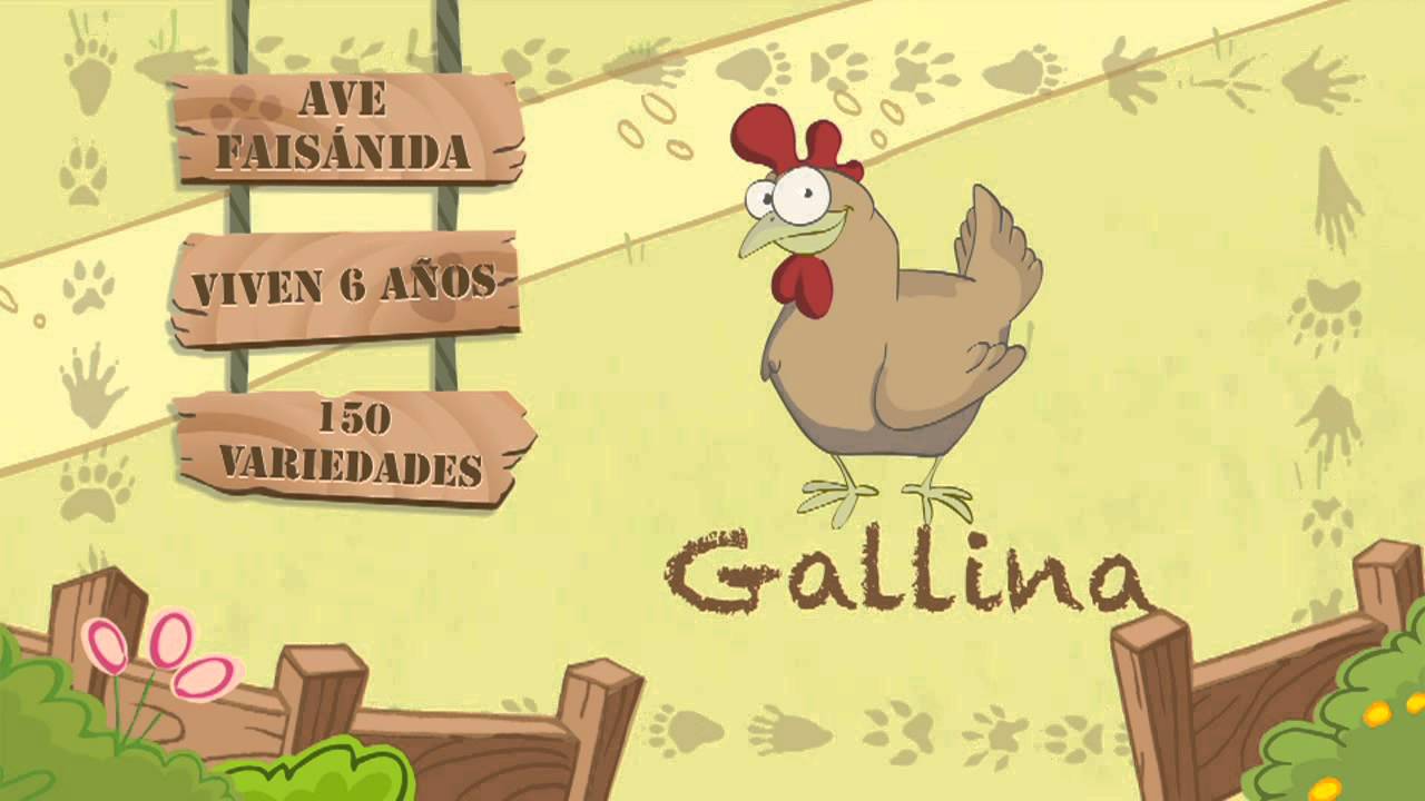 la gallina es un animal mamifero