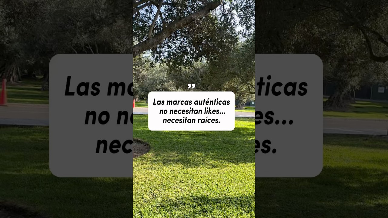 marca de ropa de un arbol