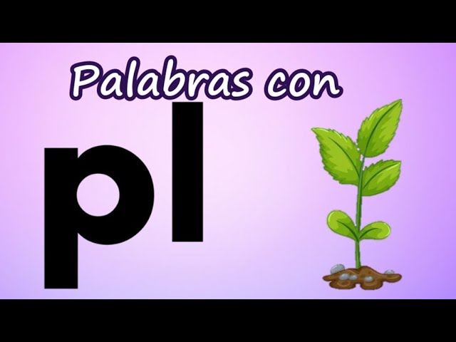 palabras que empiecen con la letra pla