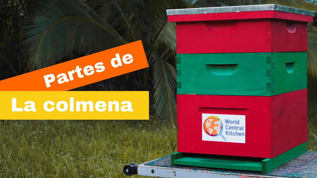 partes de una colmena de abeja