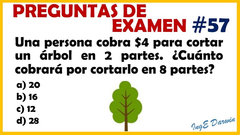 Problemas Matemáticos Resueltos para Segundo de Secundaria: Guía ...