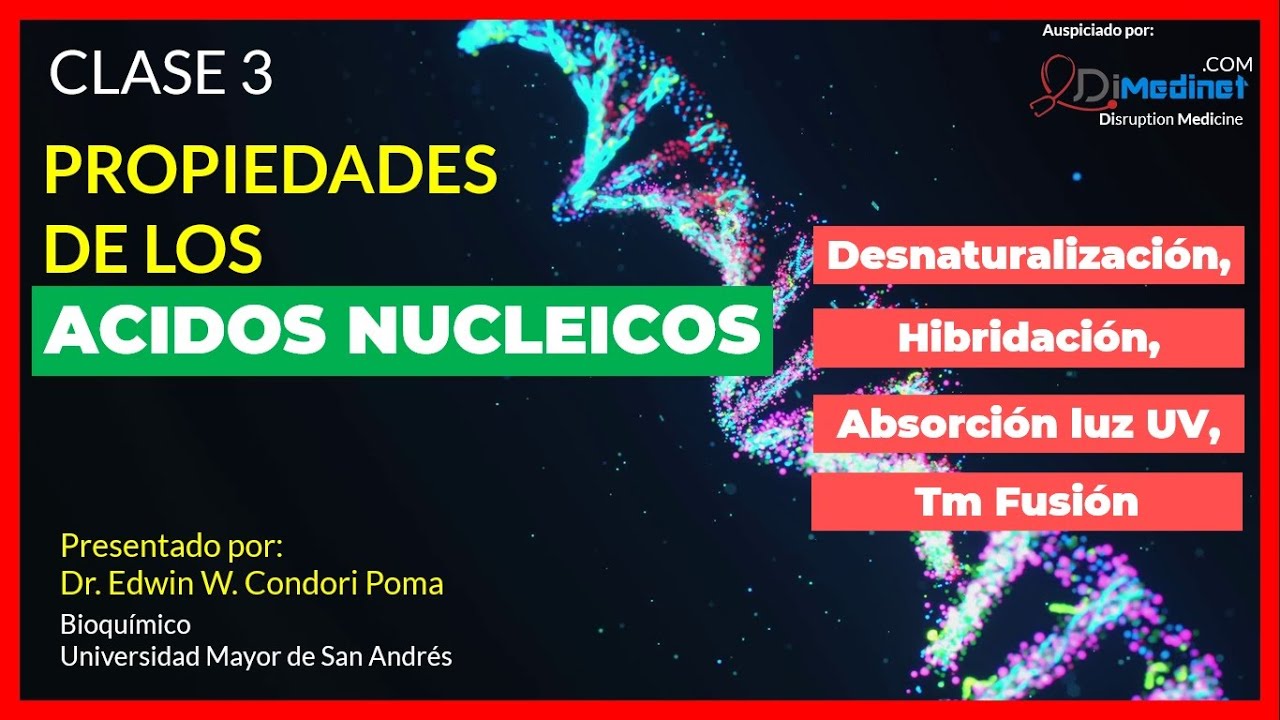 propiedades fisicas y quimicas de los acidos