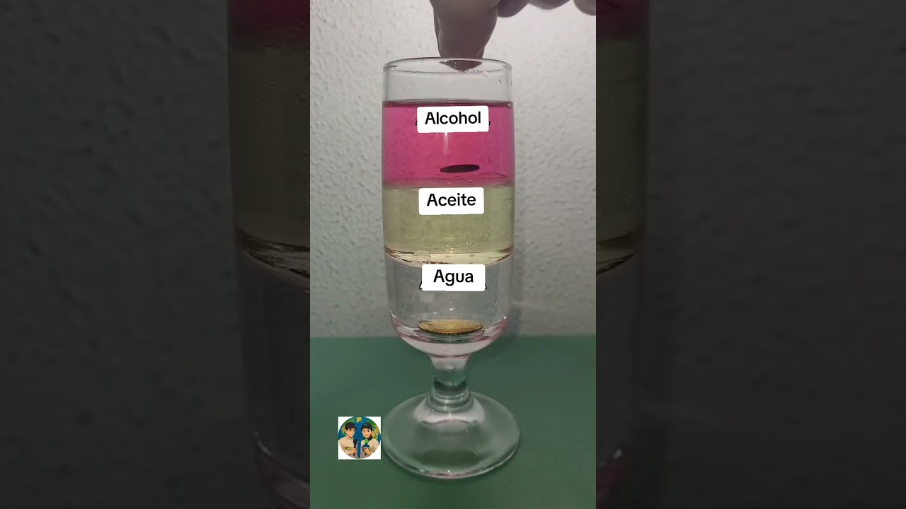 proyecto de ciencias para secundaria con sus pasos