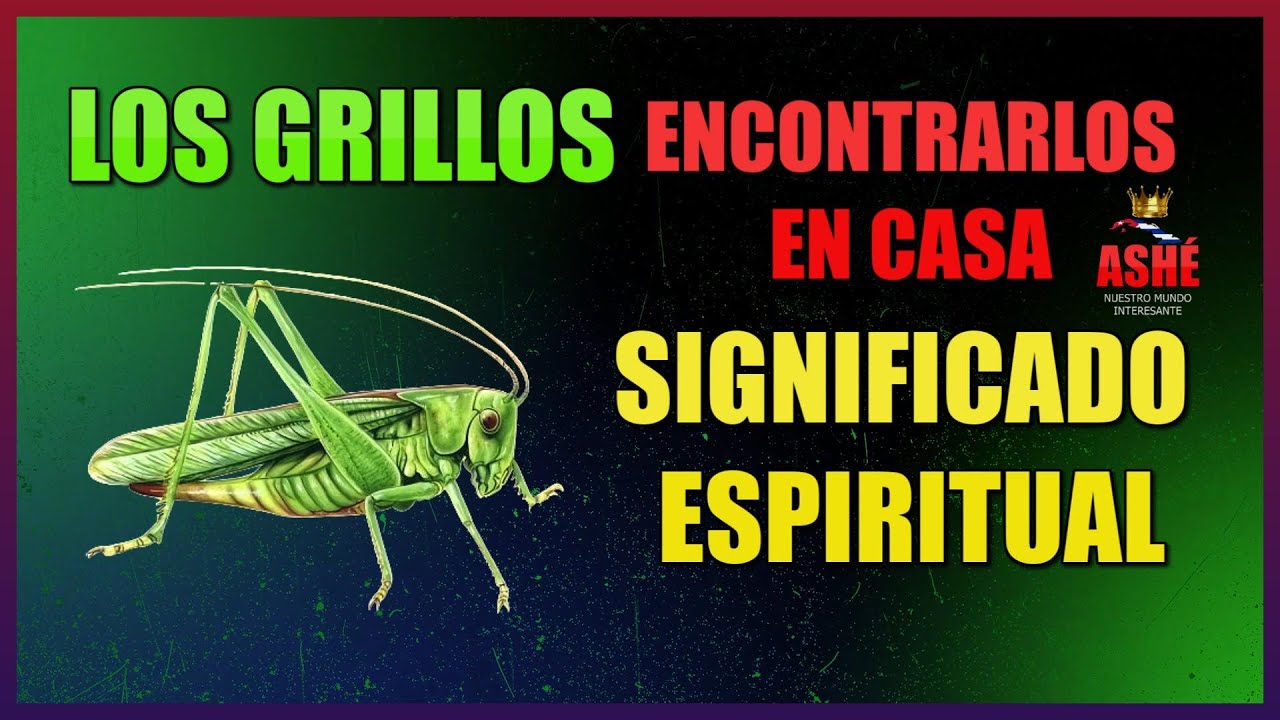 que pasa si un grillo entra a tu casa