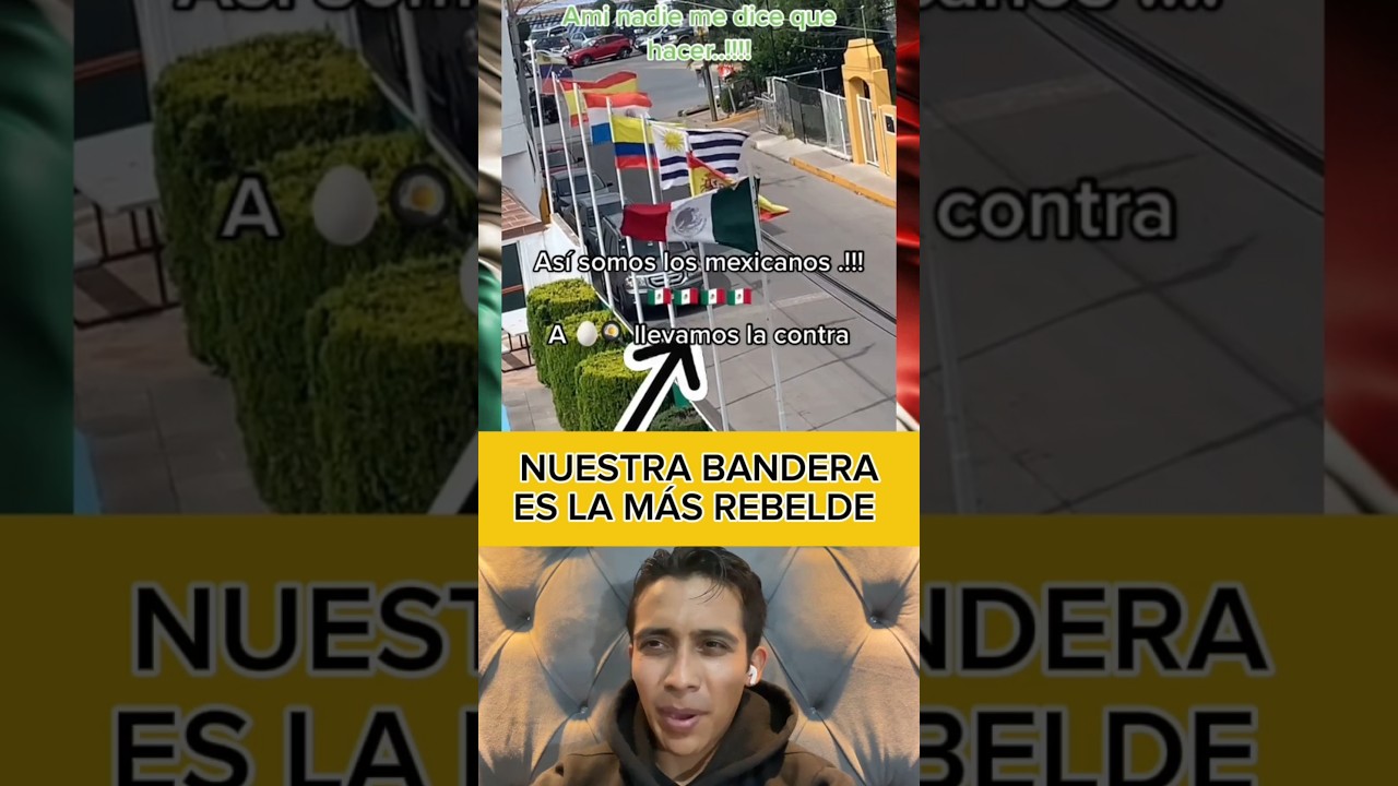 situacion didactica de la bandera mexicana