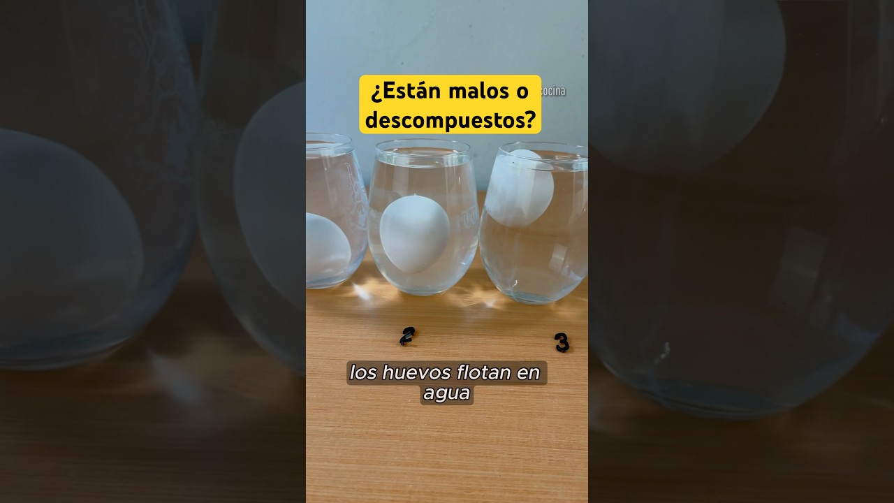 un huevo flota en el agua