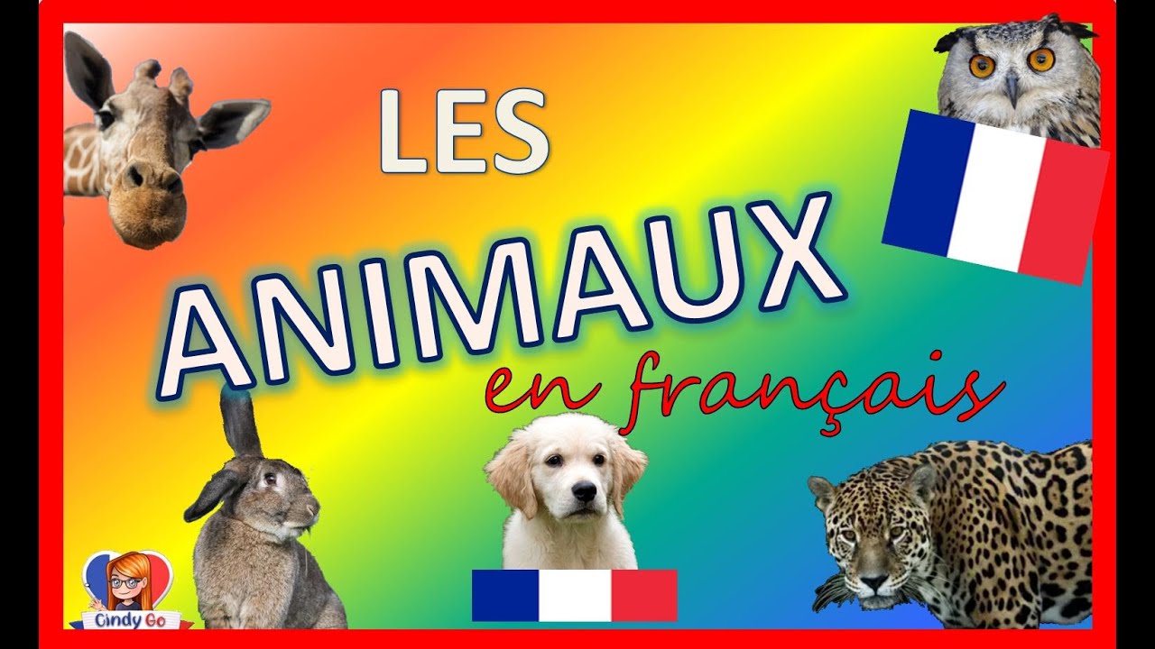 vocabulario de los animales en frances