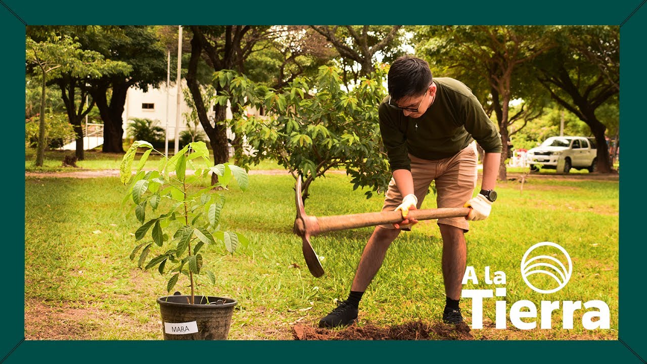 actividades por el dia de la madre tierra