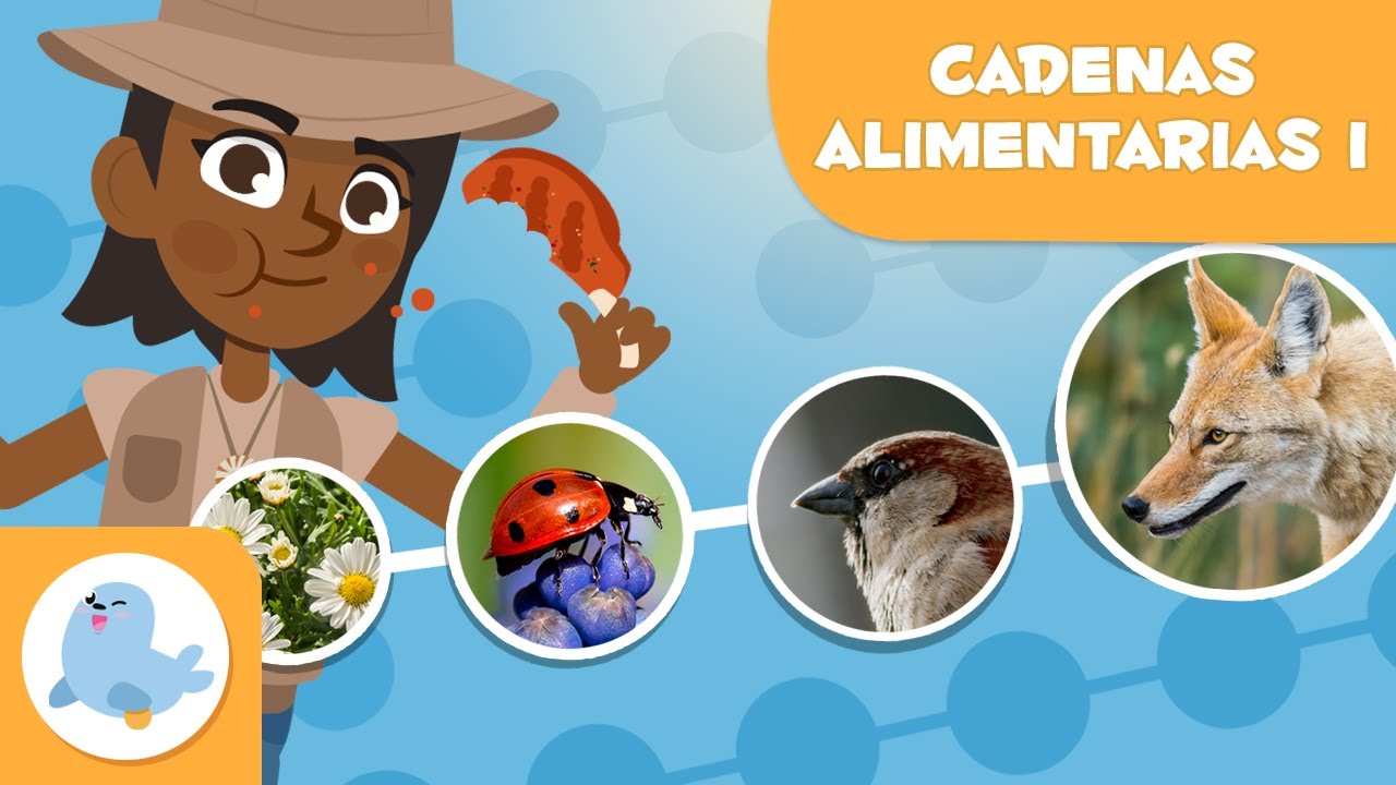 evaluacion sobre cadena alimenticia para primaria