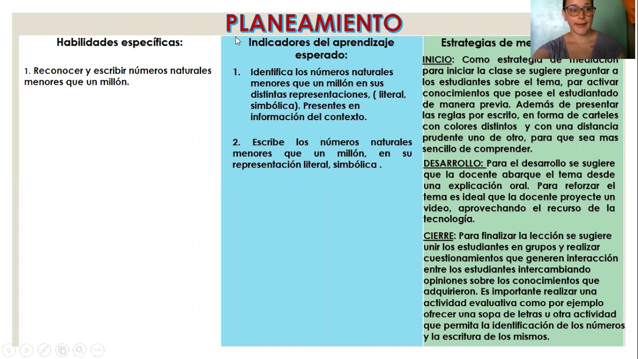 observaciones de lectura escritura y matematicas primaria
